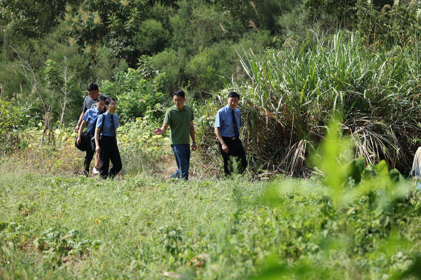 Ը����ɽ����G�����