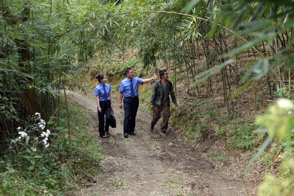 �ؑc���뽭�^(q��)���z���{�c��S�G�Ľ����