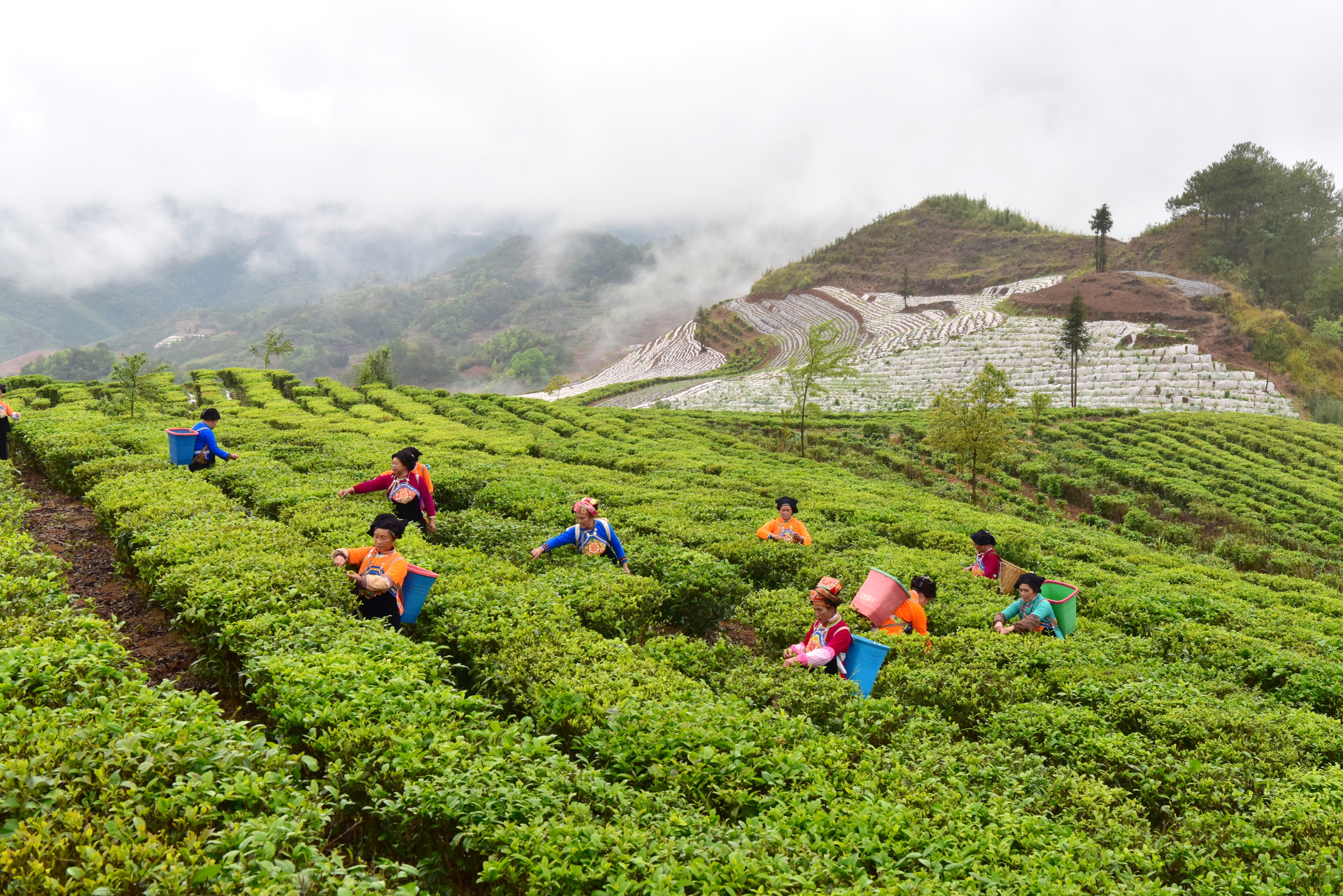 ���ؚw���ϵęz��ͷ�