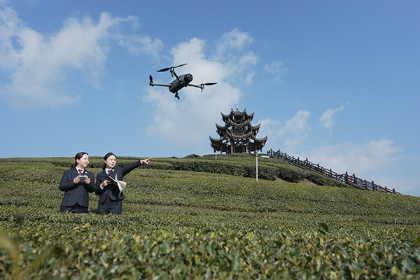 �����������龀�� �o(h��)��@