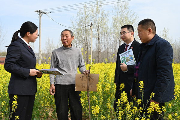 �����շ�æ