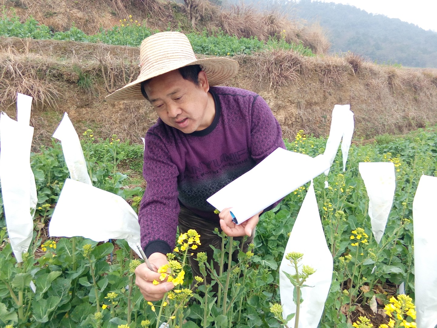 �����������N�ӡ�����Ұ�����Y(ji��)��