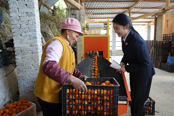 ����(zh��n)�շ������T(m��n)