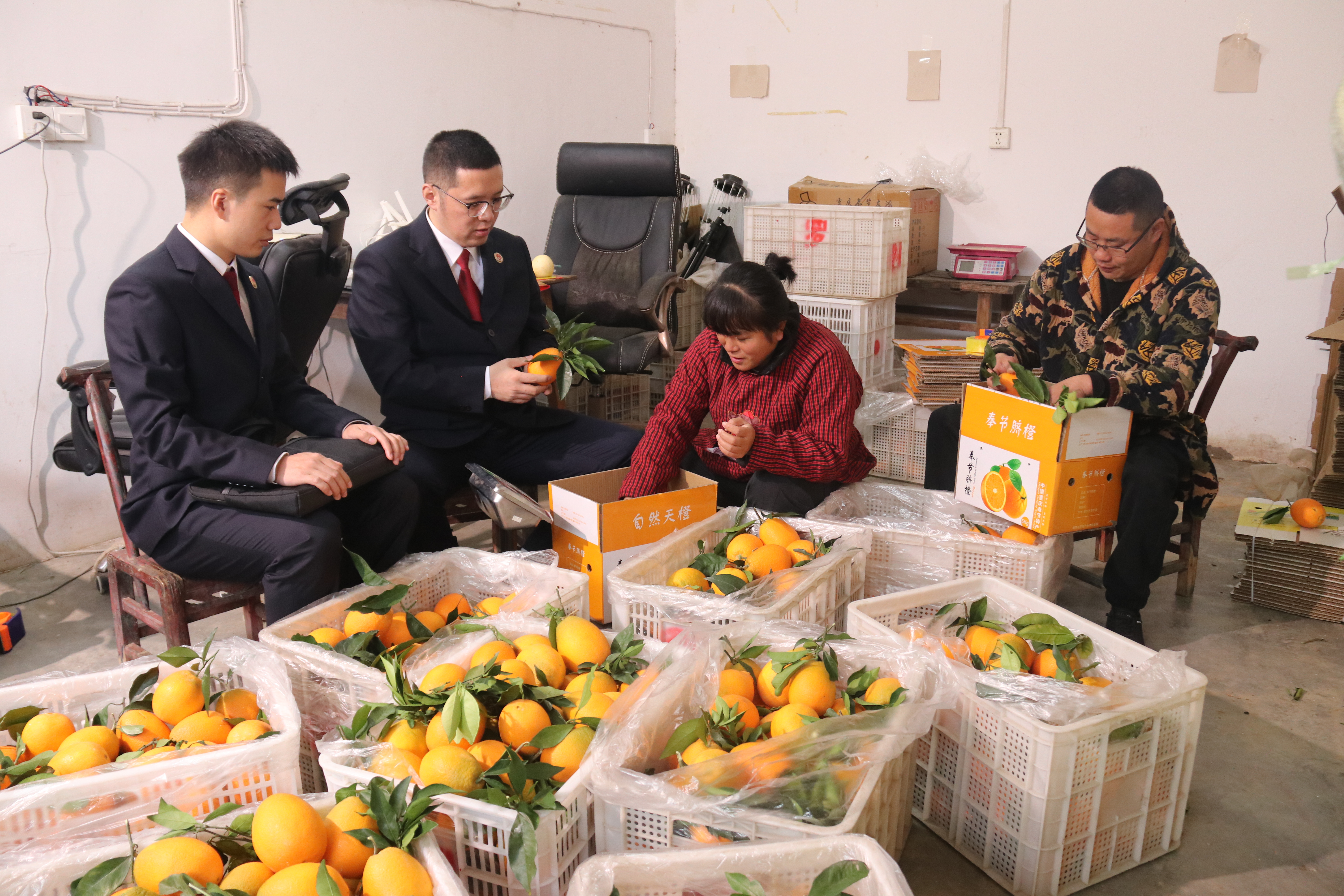 ���S������N�ϡ������C��