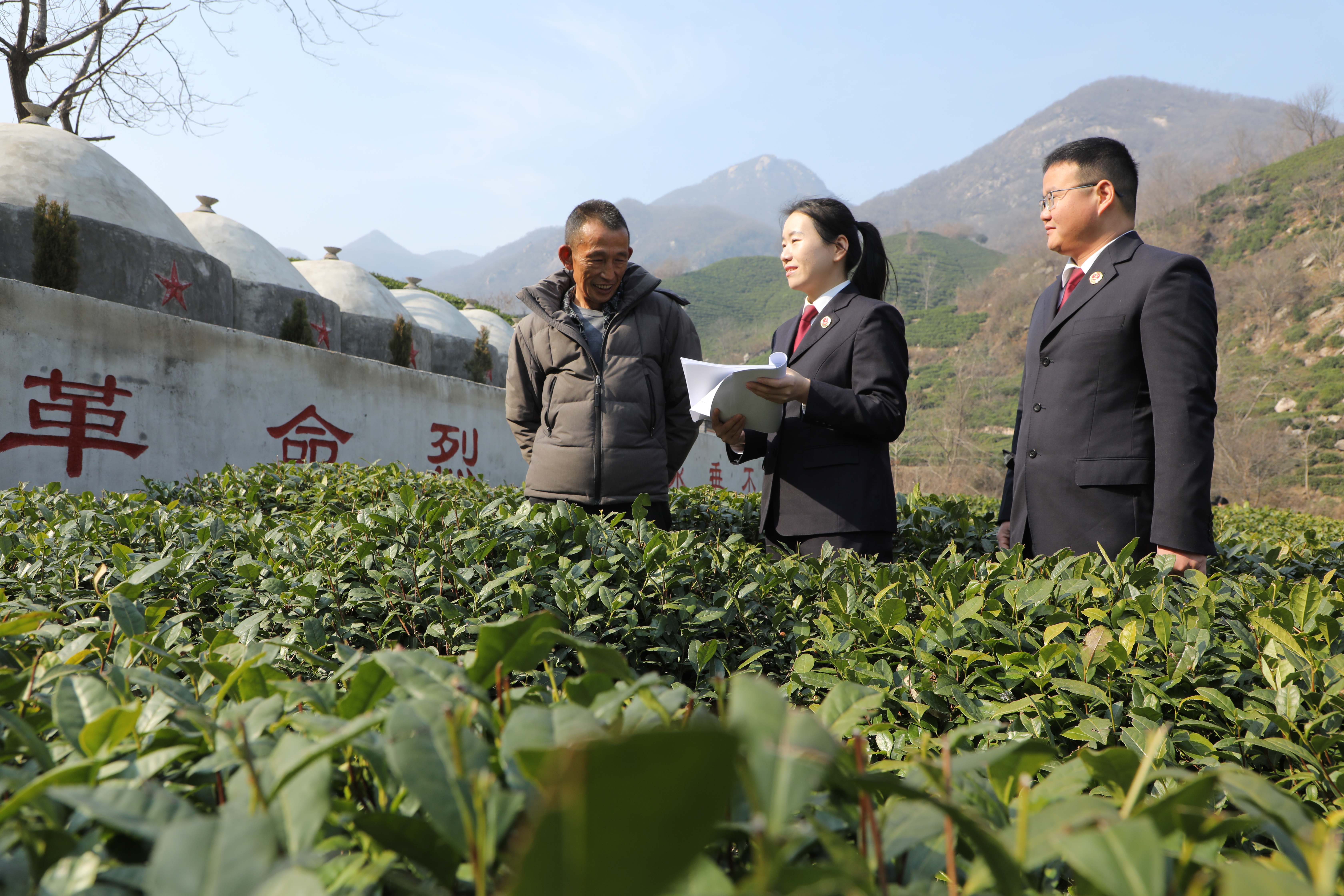 ����ʡ���(y��ng)�Л��Ӆ^(q��)�����L(f��ng)�tɫ�YԴ