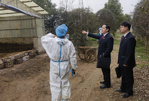 �˴����L(f��ng)���Q��(l��i)�B(y��ng)ֳ��(ch��ng)���¡��L(f��ng)