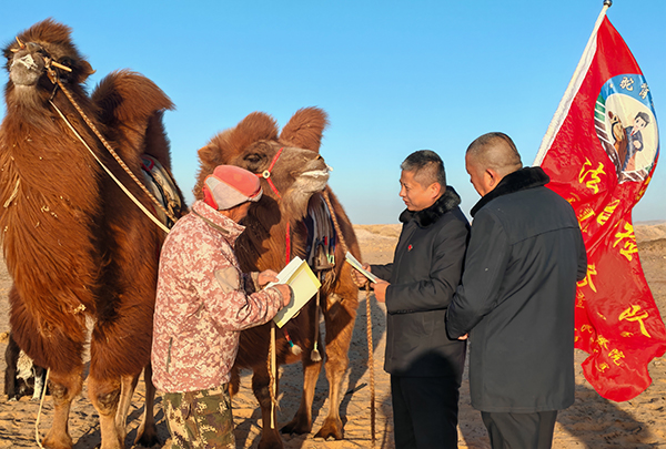 �������ͷ���