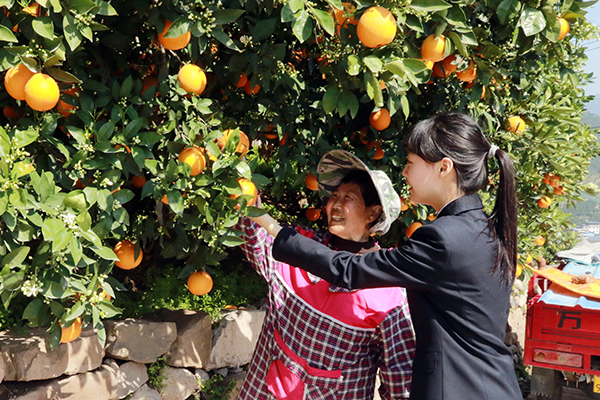 ��ժ���¸����� �ķN�������硱