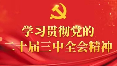 學(xué)習(xí)貫徹黨的二十屆三中全會精神
