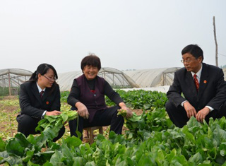 ���ϲ��۷�Ժ�����r(n��ng)�����g���^����m��