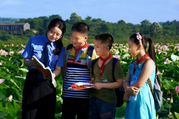 ɏ������