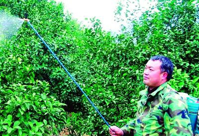 ʮ�˴�����Z�|����������(chu��ng)�I(y��)�Jδ��(l��i)