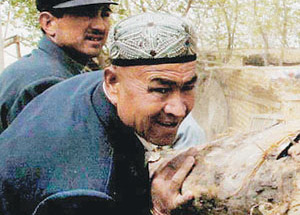 �_(d��)���ᡤ����ľ�����½������U����ͦ��ļ���