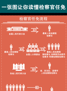 �z�������������զ������