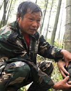 �ǿ���:ȫ����(y��u)���o(h��)�ֆT