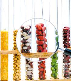 ʳƷ��ȫ���׶���ӆ