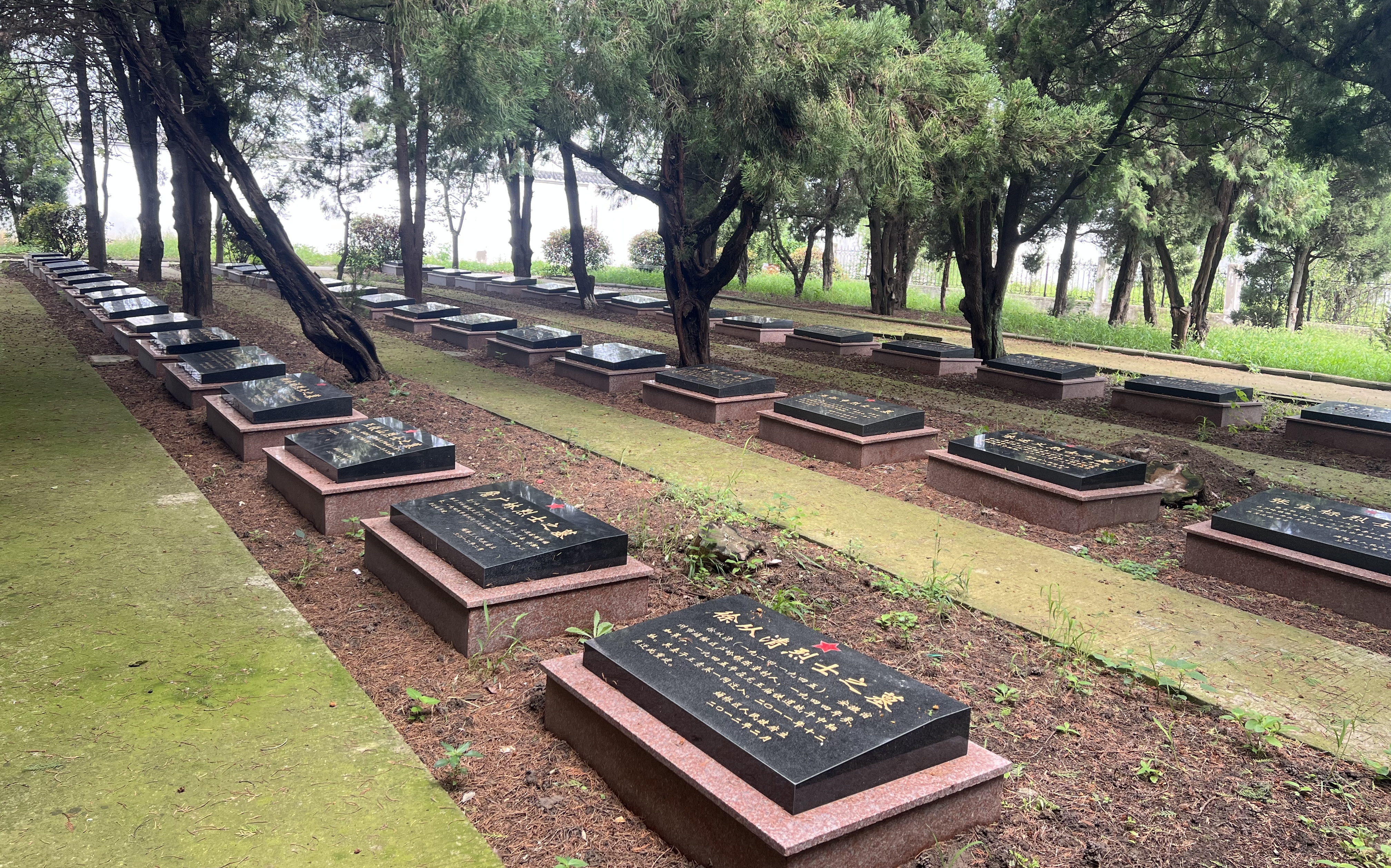 һ�Z�����������˟o�����o