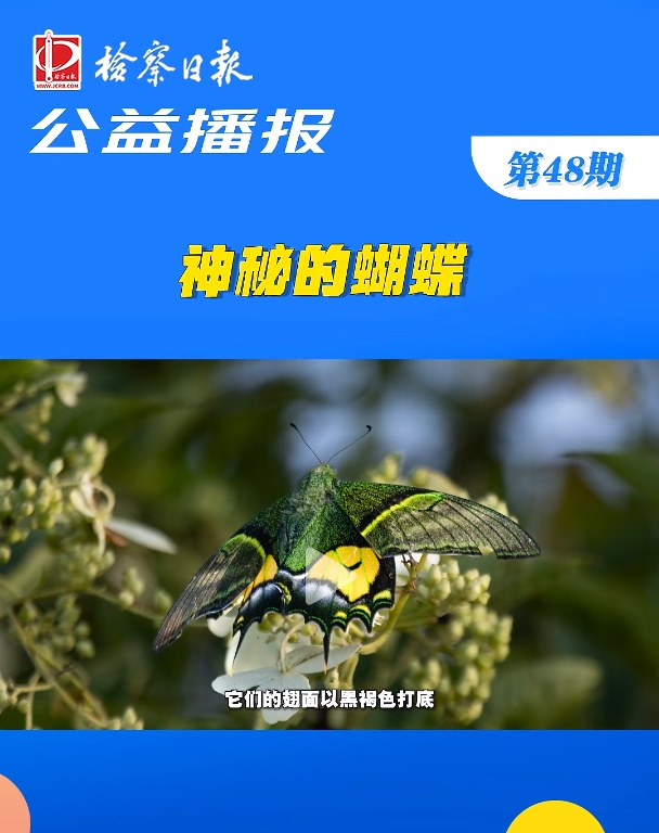 ���沥������صĺ���