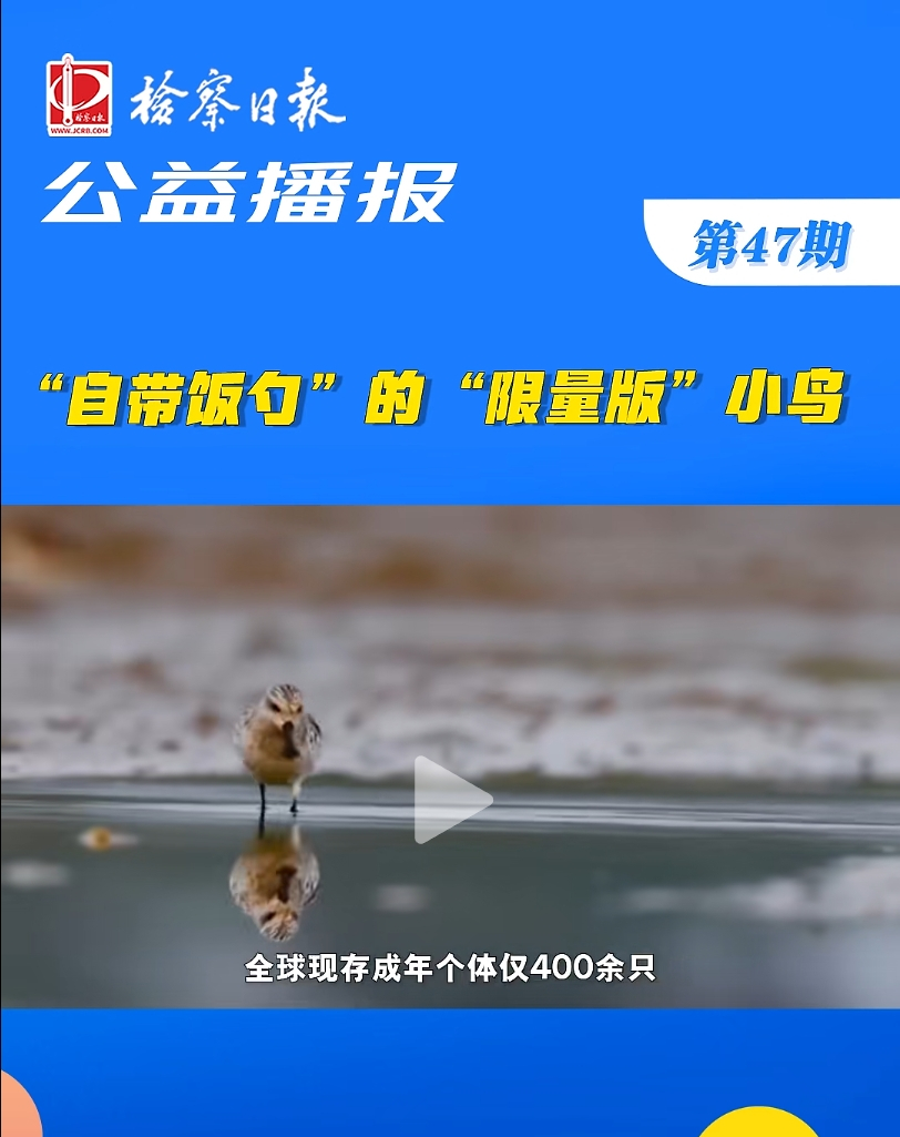 ���沥������Ԏ���ס��ġ������桱С�B