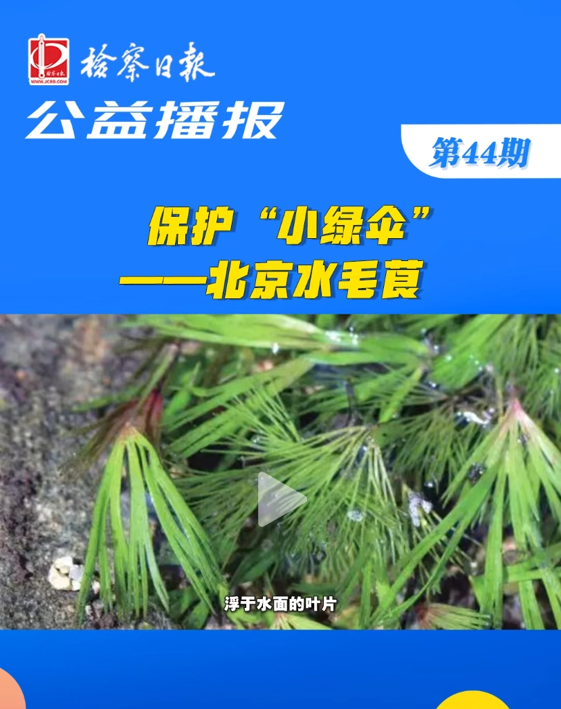 ���沥������o(h��)��С�G�㡱��������ˮëݢ