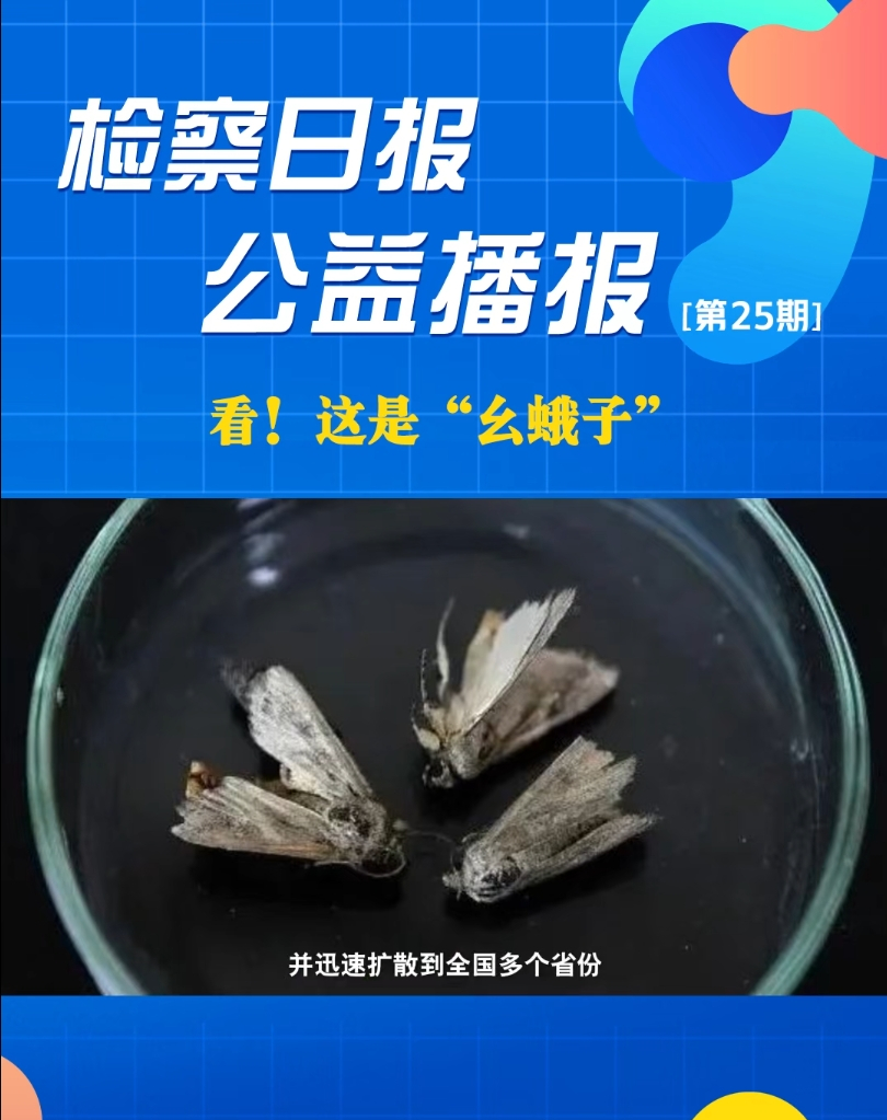 ���沥��������@�ǡ��۶��ӡ�