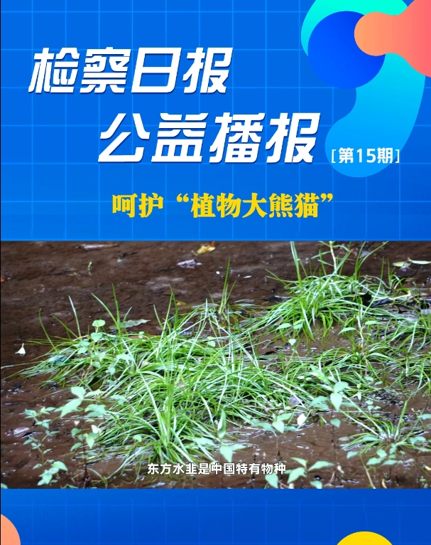 ���沥������o(h��)��ֲ�����؈��