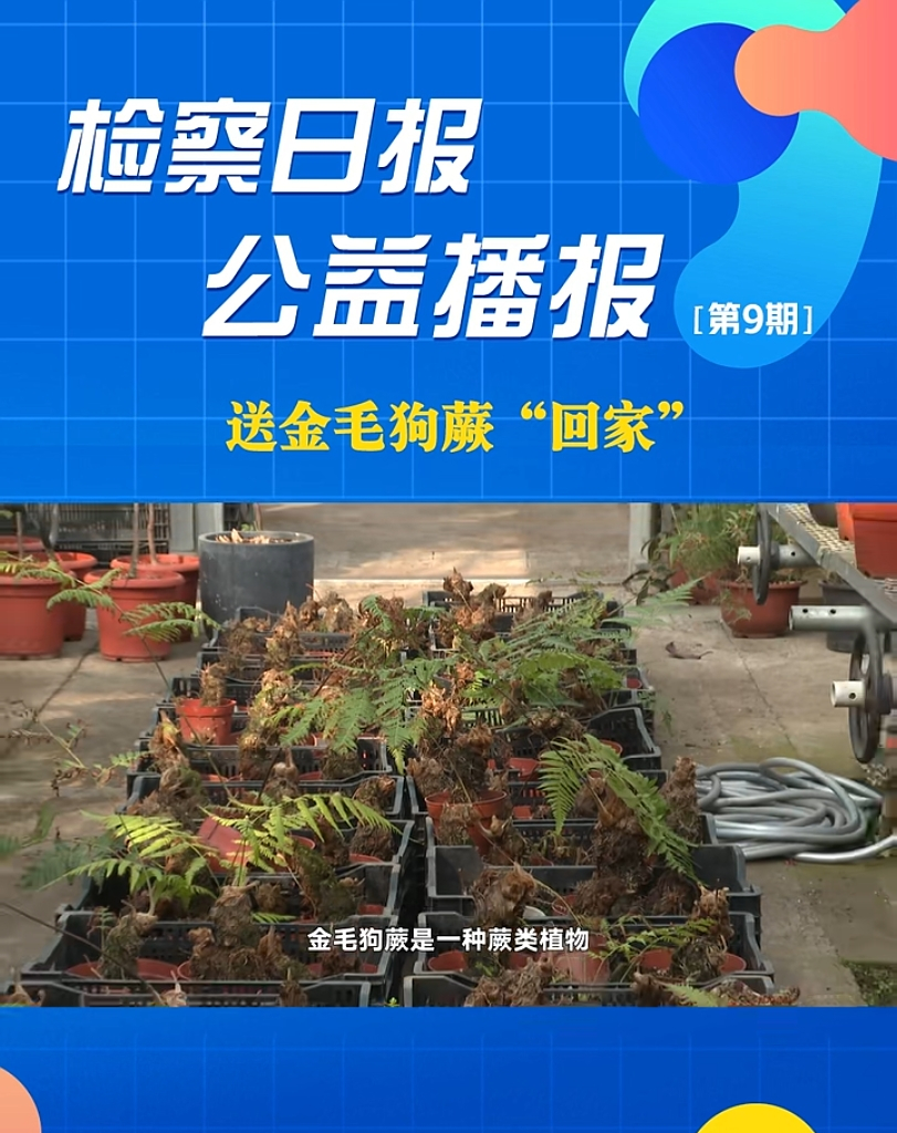 ���沥����ͽ�ë��ާ���ؼҡ�