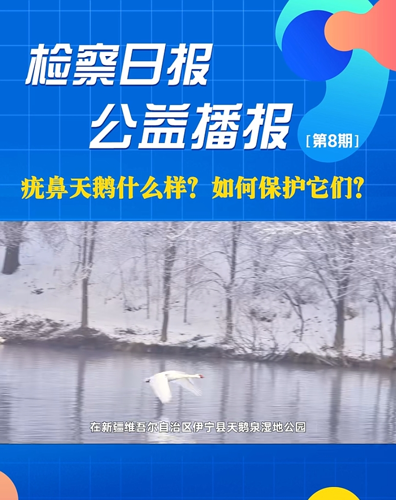 ���沥���������Zʲô�ӣ���α��o(h��)��