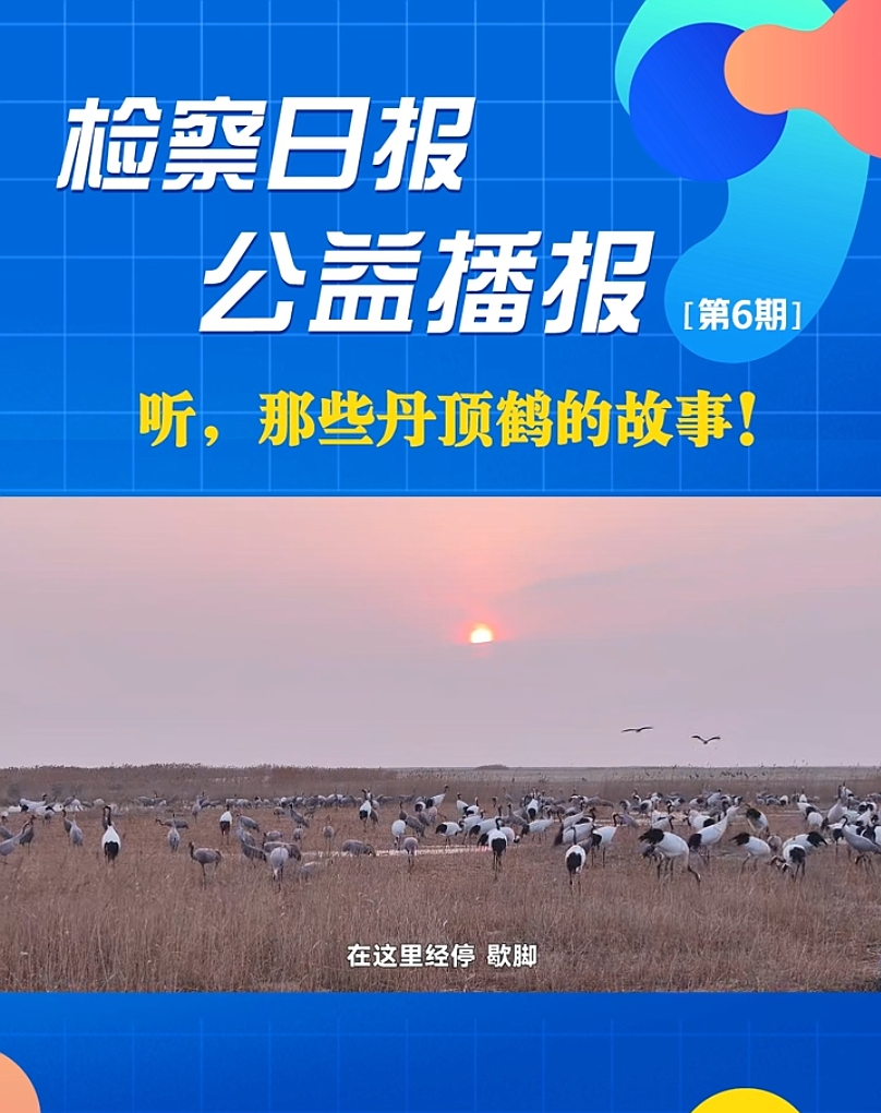 ���沥��� ����Щ����Q�Ĺ�����