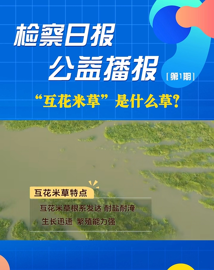 ���沥����������ײݡ���ʲô�ݣ�