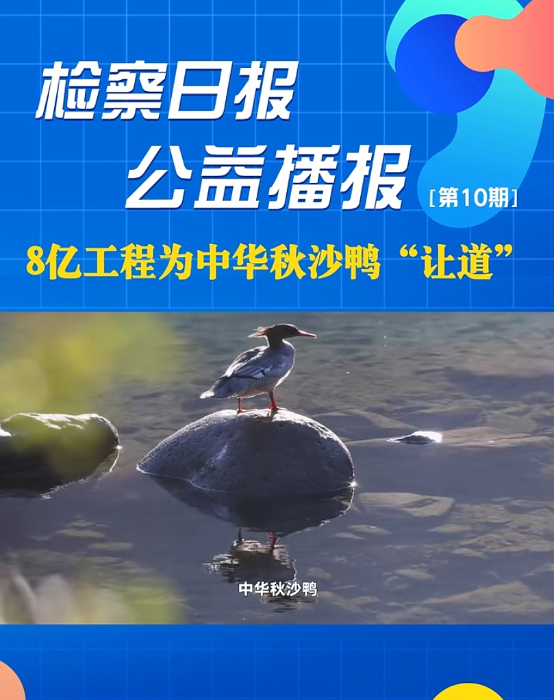 ���沥���8�|���̞����A��ɳ����׌����