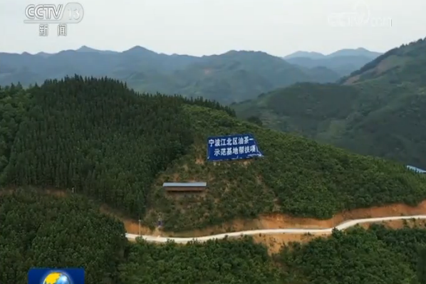 油茶樹串起的產(chǎn)業(yè)鏈