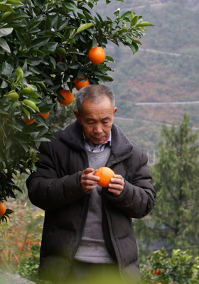 鑿通脫貧致富的“天路”