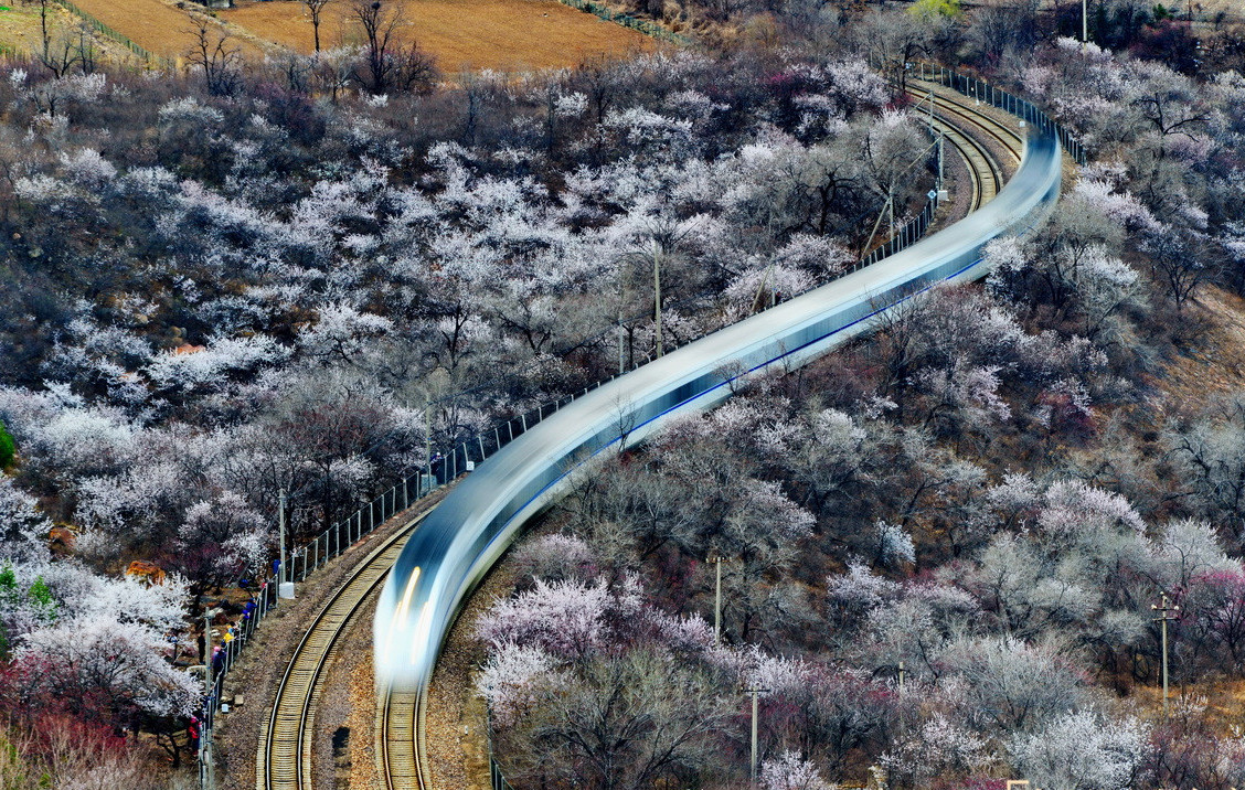 �����Ρ�����