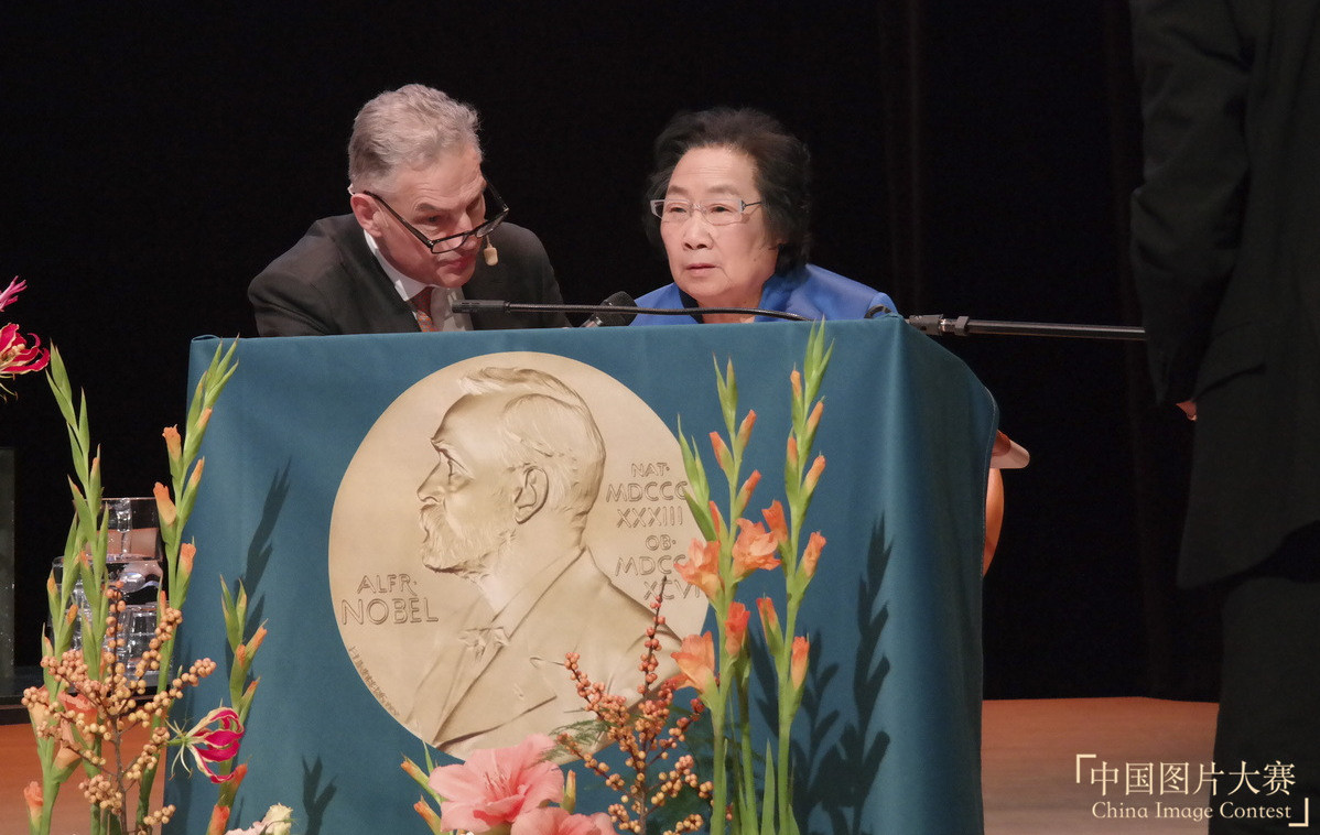 �Z���@����������