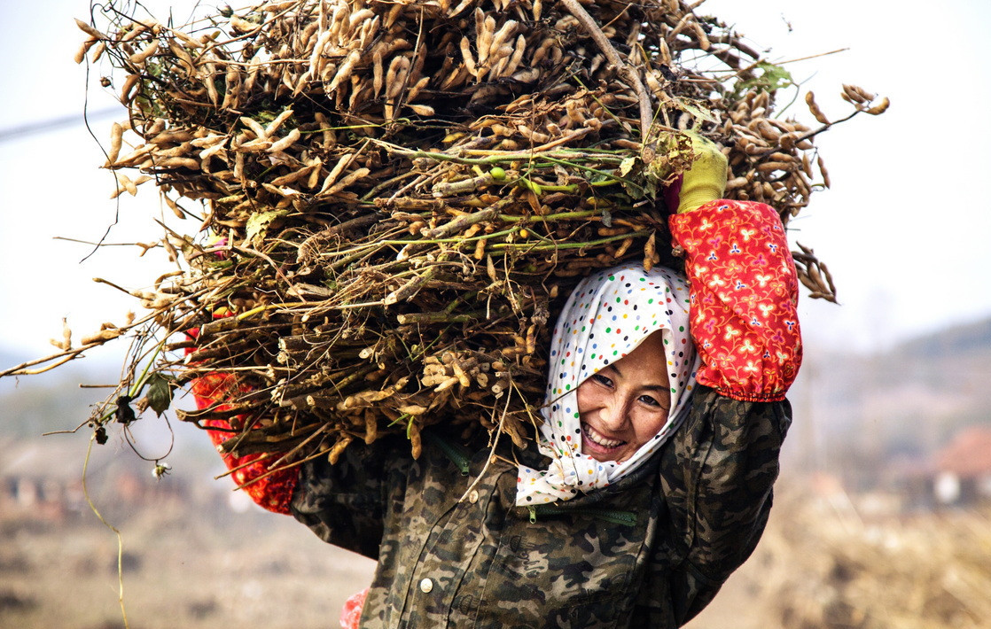 ������ϲ��