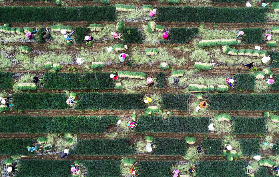 ���[���a(ch��n)���أ��M�D��