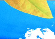 �ܸQ�x���Է���